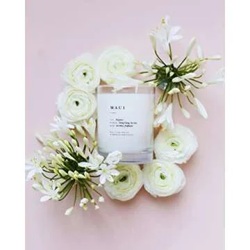 Brooklyn Candle Studio Maui Classic 2 Wick Candle - Luxury Scented Candle, Vegan Soy Wax, Hand Poured in The USA, 70 Hour Slow Burn Time - 13oz