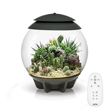 biOrb AIR 30 Fully Automated Terrarium for Arid, Temperate, or Tropical Plants, Gray