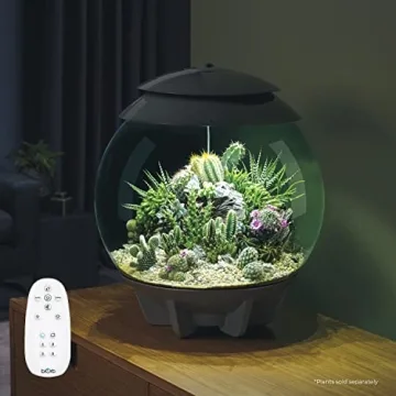 biOrb AIR 30 Fully Automated Terrarium for All Plants