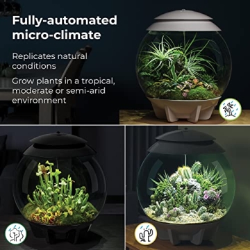 biOrb AIR 30 Fully Automated Terrarium for All Plants