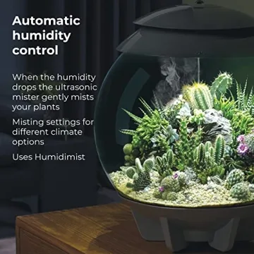 biOrb AIR 30 Fully Automated Terrarium for All Plants