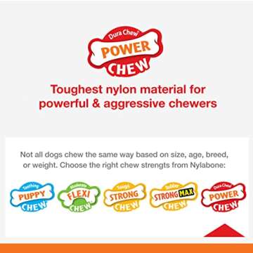 Nylabone PRO Action Power Chew Durable Dental Chew Toy for Dogs, Bacon Flavor, Small/Regular (1 Count)