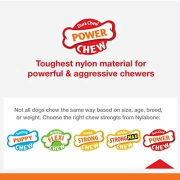 Nylabone PRO Action Power Chew Durable Dental Chew Toy for Dogs, Bacon Flavor, Small/Regular (1 Count)