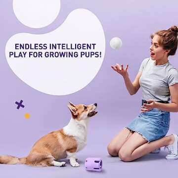 Wolf Spring Tennis Tumble Dog Chew Toys for Aggressive Chewers - Pet-Safe Rubber Dog Toys for Aggressive Chewers & Teething Pups - Mental Stimulation, Separation Anxiety Relief, & Active Play