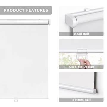 LazBlinds Cordless Blackout Roller Shades for Windows