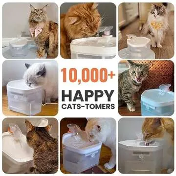 CAT CARE Cat Water Fountain for Quiet, Healthy Hydration