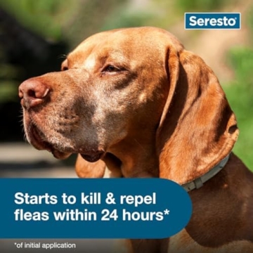 Seresto Large Dog Flea & Tick Prevention Collar - 8 Months Protection