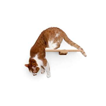 CatastrophiCreations Solid Wood Cat Shelf Handcrafted Wall-Mounted Cat Furniture, Onyx, 12"