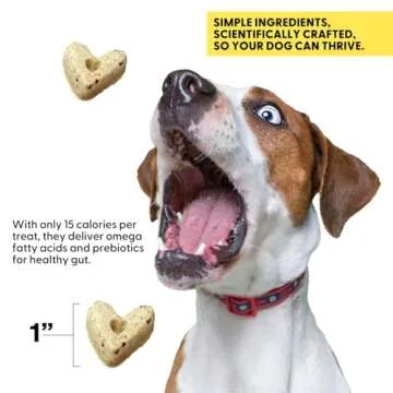 Wild Earth Superfood Dog Treats, Plant Based Dog Treats with Omega Acids, Prebiotics & Koji Protein, No Fillers, Veterinarian-Developed, Banana & Cinnamon Flavor