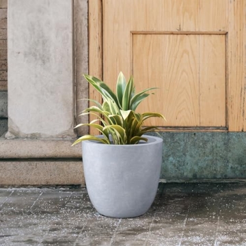 Stylish Kante 14 Inch Concrete Planter for Indoor Outdoor