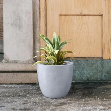 Stylish Kante 14 Inch Concrete Planter for Indoor Outdoor