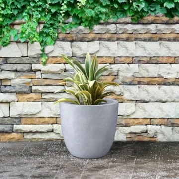 Stylish Kante 14 Inch Concrete Planter for Indoor Outdoor