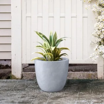 Stylish Kante 14 Inch Concrete Planter for Indoor Outdoor