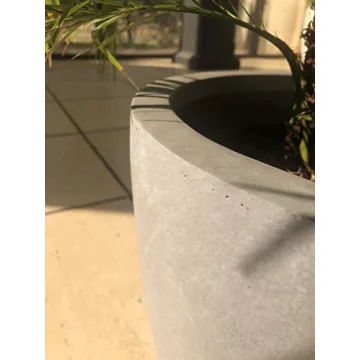 Stylish Kante 14 Inch Concrete Planter for Indoor Outdoor