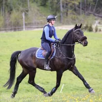 Jayefo All Season Horse Riding Gloves for All Activities