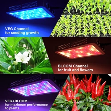 Tatu 1000W Full Spectrum LED Grow Light for Indoor Plants