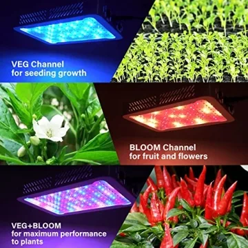 Tatu 1000W Full Spectrum LED Grow Light for Indoor Plants