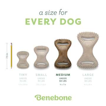Benebone Dental Durable Dog Chew Toy for Aggressive Chewers, Real Peanut, Made in USA, Medium