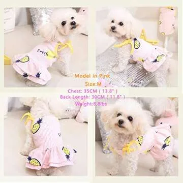 CAISANG 2 Pack Dog Shirt Skirt Striped Printed T Shirts Cotton Vest Pleated Dress Puppy Clothes Summ...
