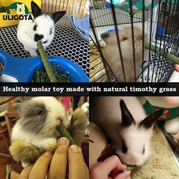 ULIGOTA Timothy Hay Sticks for Small Pets 20pcs