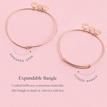 Alex and Ani Love Charm Bangle in Rafaelian Gold Finish