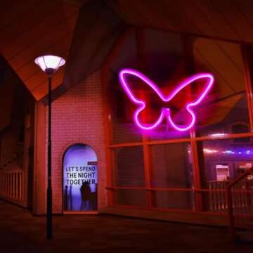 QiaoFei LED Butterfly Neon Sign Lights Hanging Decorative Neon Light USB or Battery Operated for Home Bedroom Bar Restaurant Christmas Birthday Party Gift Art Wall Decoration Light(Pink)