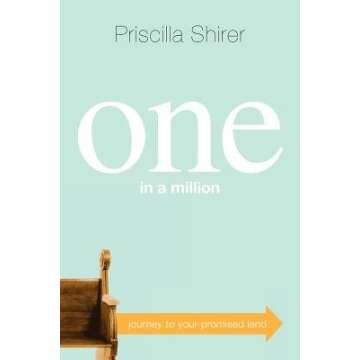 One in a Million( Journey to Your Promised Land)[1 IN A MILLION][Paperback]