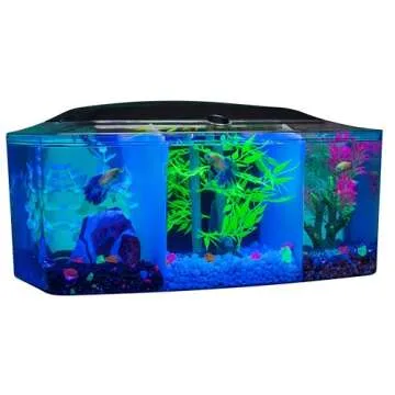 GloFish Betta Trilogy Aquarium, 3 Gallons, Includes LED Lights and Filter