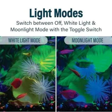 GloFish Betta Trilogy Aquarium, 3 Gallons, Includes LED Lights and Filter