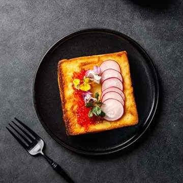 AmorArc Ceramic Dinner Salad Plates Set of 4, 8.5 Inch Reactive Matte Glaze Dish Set, Dessert, Salad, Appetizer, Small Dinner Plate, Microwave, Dishwasher Safe,Scratch Resistant,Reactive Matte Black