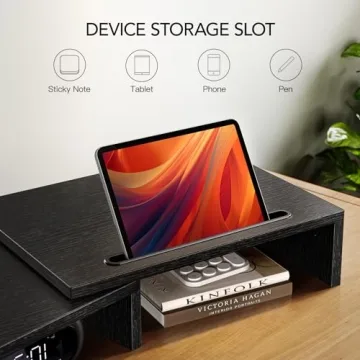 AMERIERGO Dual Monitor Stand Riser for Home Office