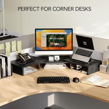 AMERIERGO Dual Monitor Stand Riser for Home Office