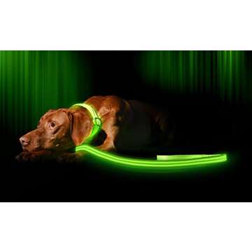 Illumiseen LED Light Up Dog Leash | Ultra High Visibility Up to 350 Yards | 3 Lighting Modes | USB R...