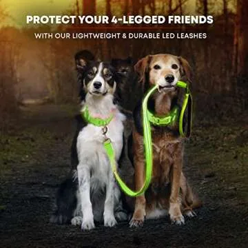 Illumiseen LED Light Up Dog Leash | Ultra High Visibility Up to 350 Yards | 3 Lighting Modes | USB Rechargeable, No Batteries Needed | Padded Handle & Rotating Swivel Clasp to Prevent Leash Tangling