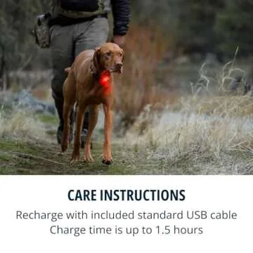 Ruffwear, Beacon Safety Light for Dogs, Clear Lake
