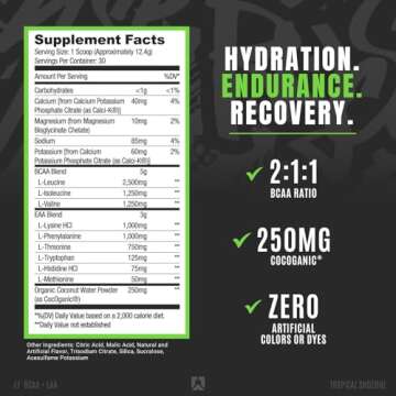 Ryse Core Series BCAA+EAA - Tropical Snocone | 30 Servings for Hydration & Recovery