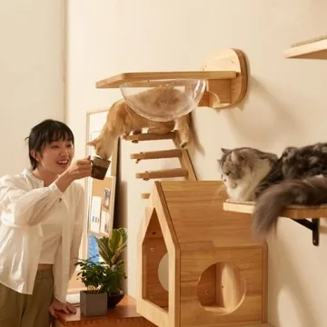 FUKUMARU Cat Climbing Shelf - Wall Mounted Cat Steps for Play