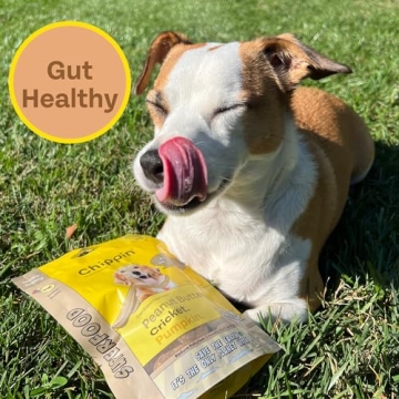 Chippin Cricket Dog Treats - Healthy, Eco-Friendly Snacks