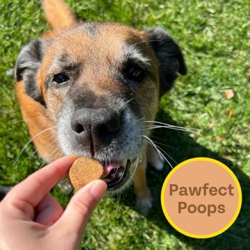 Chippin Cricket Dog Treats - Healthy, Eco-Friendly Snacks