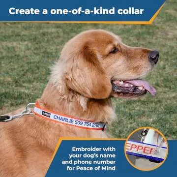 GoTags Reflective Personalized Dog Collar, Custom Embroidered with Pet Name and Phone Number in Blue...