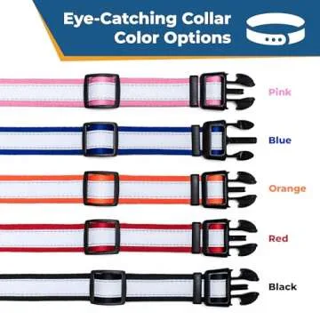 GoTags Reflective Custom Dog Collar with Embroidery