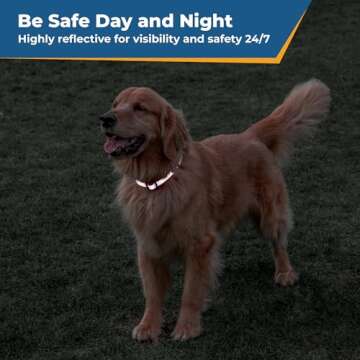 GoTags Reflective Personalized Dog Collar, Custom Embroidered with Pet Name and Phone Number in Blue for Boy and Girl Dogs, 3 Adjustable Sizes, Small, Medium, and Large