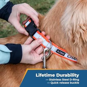 GoTags Reflective Custom Dog Collar with Embroidery