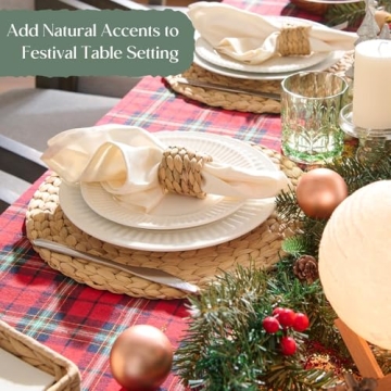 Elegant 6 Pack Natural Water Hyacinth Placemats