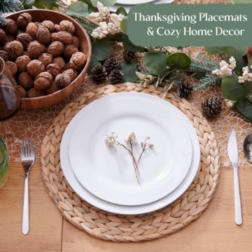 Elegant 6 Pack Natural Water Hyacinth Placemats