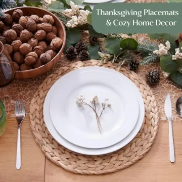 Elegant 6 Pack Natural Water Hyacinth Placemats