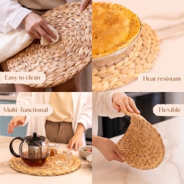 Elegant 6 Pack Natural Water Hyacinth Placemats
