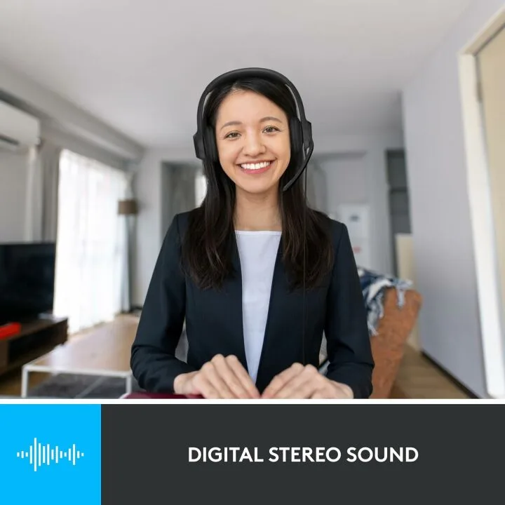 Logitech H390 Wired PC Headset with Noise Cancelling Mic