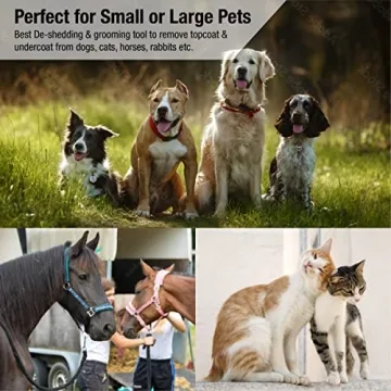 King Kanine Brush Self-Cleaning Grooming Tool for Pets