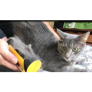 King Kanine Brush Self-Cleaning Grooming Tool for Pets
